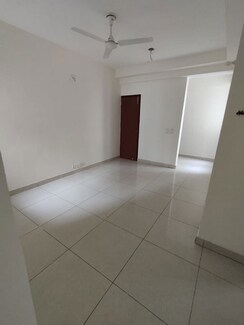 6+ BHK + Store Room Independent House For Sale in Sector 50