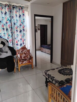Living Room in 1 BHK Apartment at G And G Myst Homes, Patiala Road – for Rent