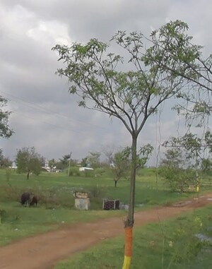  Plot For Sale in Ashok Nandavanam Tiruvallur, Tiruvallur
