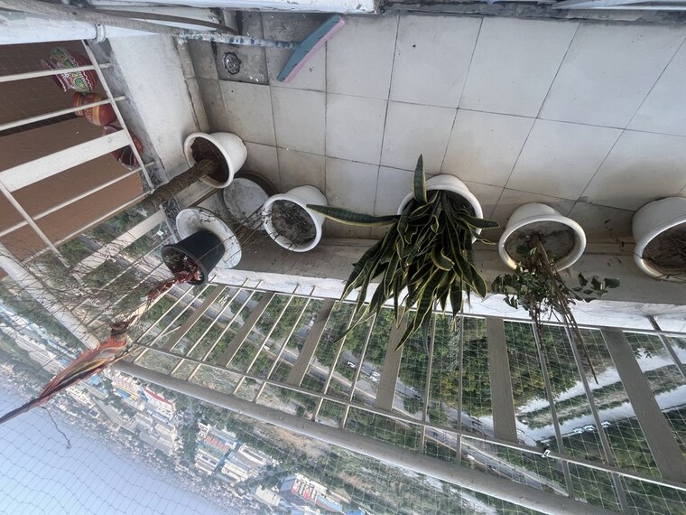 Balcony, samridhi-grand-avenue 3 Bedroom 1555 Sq.Ft. Apartment In Tech Zone 4 Greater Noida Greater Noida 10380526