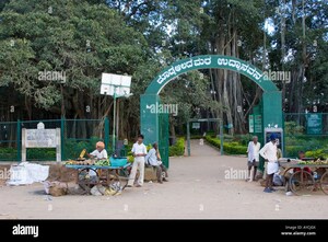  Plot – Exterior View View at SLN City, Tavarekere - for Sale