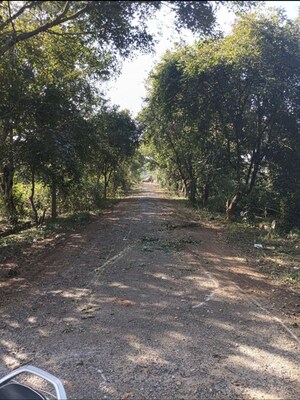 Plot Area in  Plot at SLN City, Tavarekere – for Sale