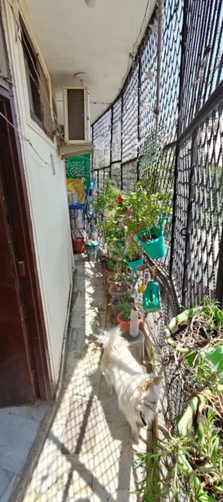 Balcony, mehrauli 2 Bedroom 750 Sq.Ft. Builder Floor In Mehrauli Delhi 10377247