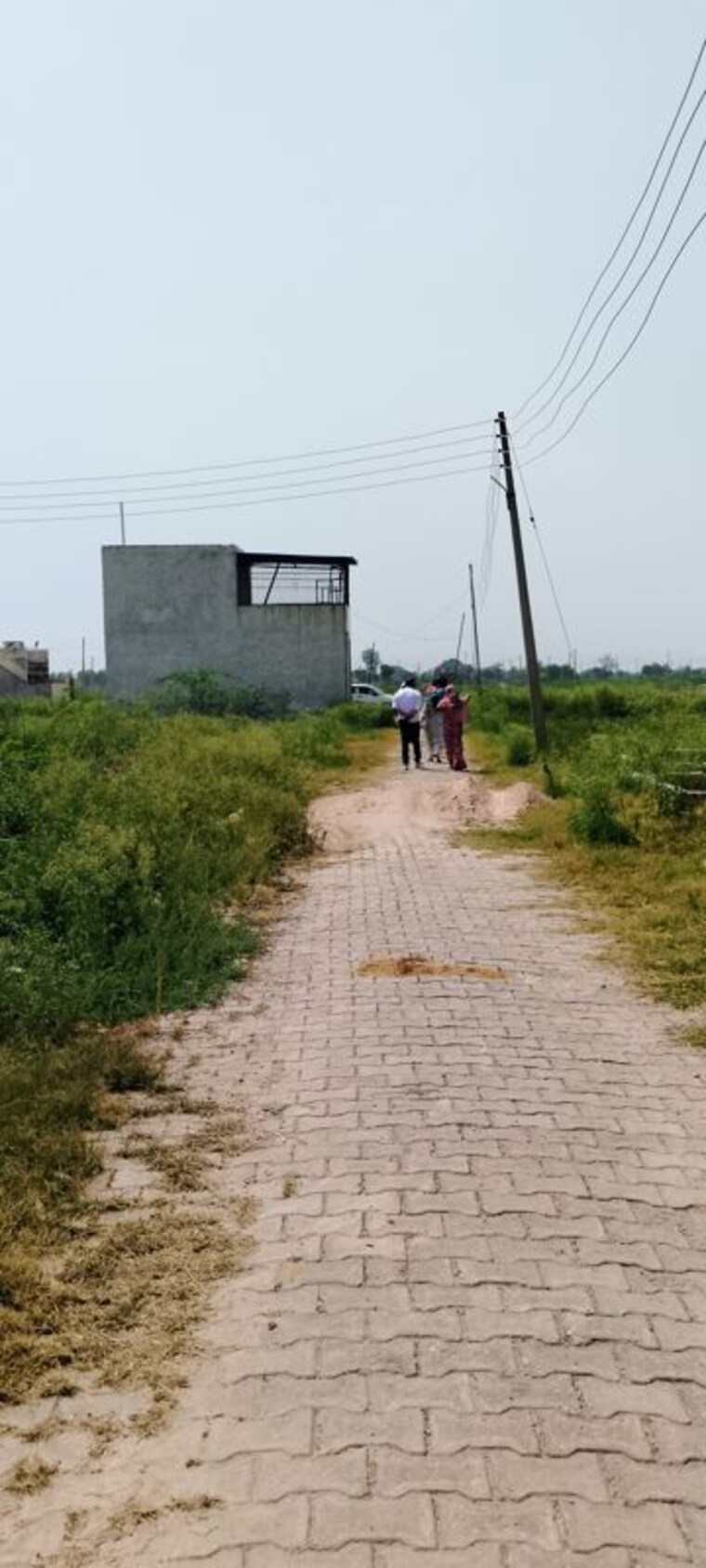 undefined, barsana  900 Sq.Ft. Plot In Barsana Vrindavan 10380763