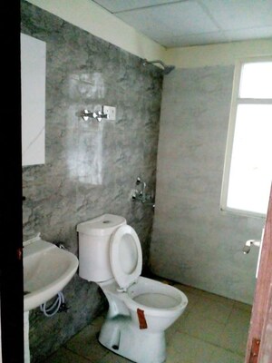 Bathroom in 3 BHK Apartment at Amrapali Dream Valley, Tech Zone 4 Greater Noida – for Rent