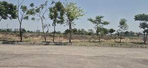 Plot Area in  Plot at Mullanpur – for Sale