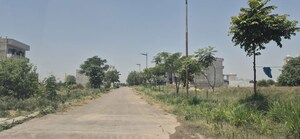 Plot Area in  Plot at Mullanpur – for Sale