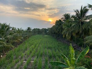1 BHK Villa – Exterior View View at Sathyamangalam - for Sale