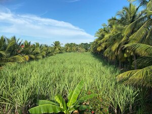 1 BHK Villa – Exterior View View at Sathyamangalam - for Sale