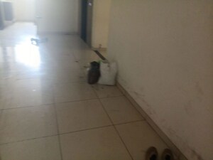 Bathroom in 2 BHK Apartment at Vilas Javdekar Yashwin Encore, Wakad – for Rent