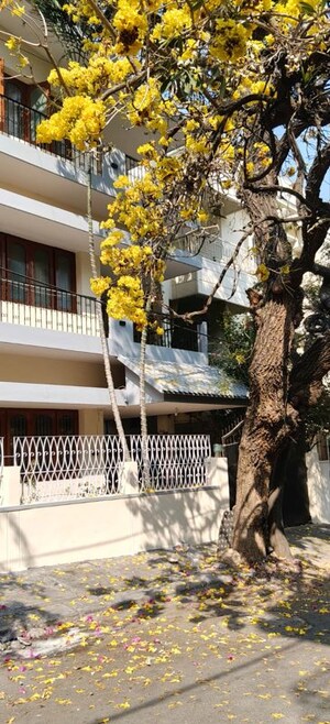 1 RK Builder Floor For Rent in Yamuna Block, Koramangala