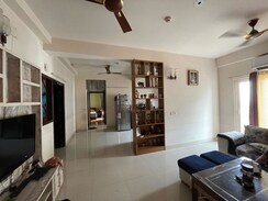 3 BHK Apartment For Sale in Apex The Florus