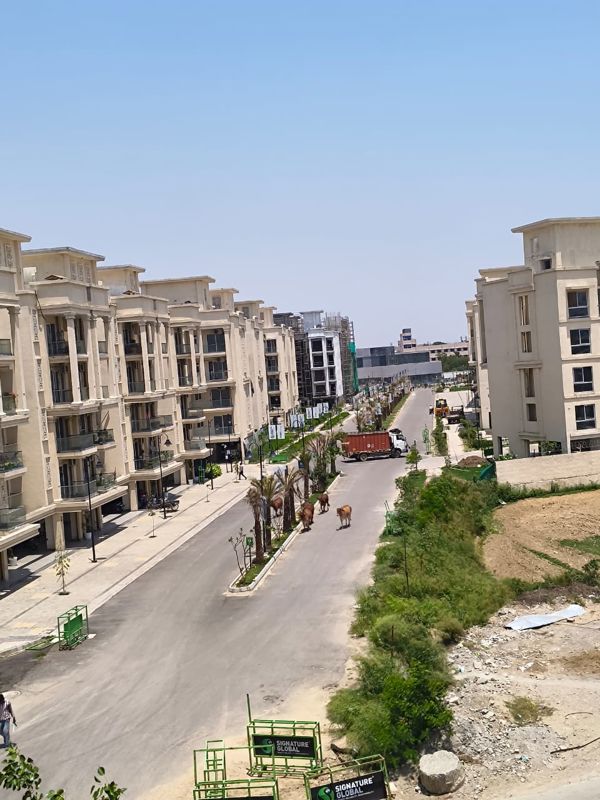 2.5 BHK + Pooja Room,Study Room,Extra Room,Basement,Store Room 1200 Sq.Ft. Builder Floor in Smart World Orchard