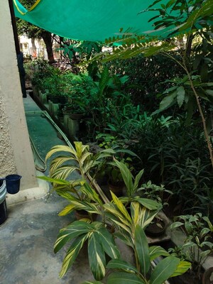 3 BHK Apartment – Garden View at Rwa Jalvayu Vihar Noida, Sector 25 - for Sale