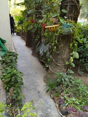 3 BHK Apartment – Garden View at Rwa Jalvayu Vihar Noida, Sector 25 - for Sale