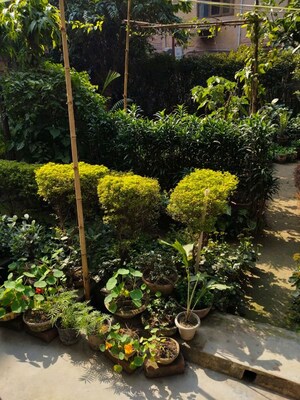 3 BHK Apartment – Garden View at Rwa Jalvayu Vihar Noida, Sector 25 - for Sale