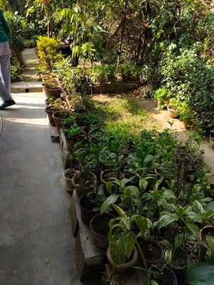 Balcony in 3 BHK Apartment at Rwa Jalvayu Vihar Noida, Sector 25 – for Sale