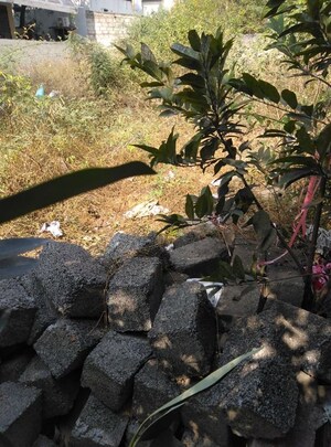 Plot Area in  Plot at Chandra Residency Rampally, Rampally – for Sale