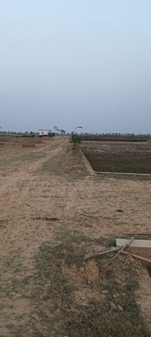 Plot Area in  Plot at Jangal Kauria – for Sale