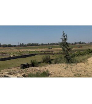 Plot Area in  Plot at Jangal Kauria – for Sale