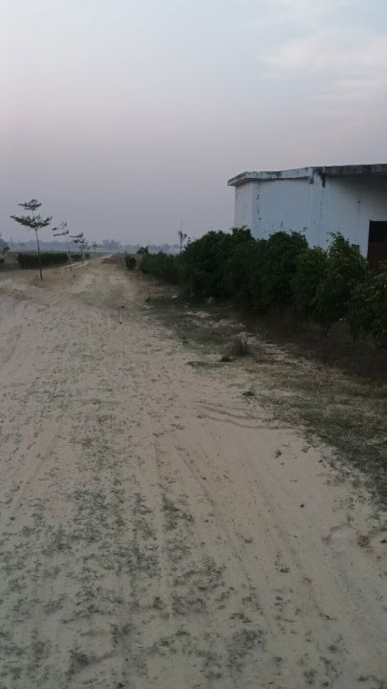 undefined, jangal kauria  1000 Sq.Ft. Plot In Jangal Kauria Gorakhpur 10346915