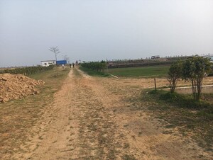 Plot Area in  Plot at Jangal Kauria – for Sale