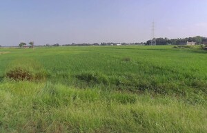  Plot For Sale in Tamrua