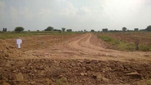  Plot For Sale in Sohalpur Mazara Belra M