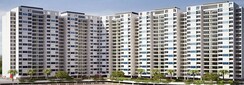2 BHK Apartment For Rent in Cosmos Classique