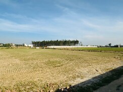 Plot For Sale in Lalru