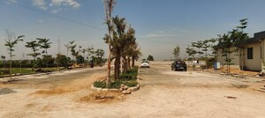 Plot Area in  Plot at Hemis One, Farukh Nagar Sector 1 – for Sale