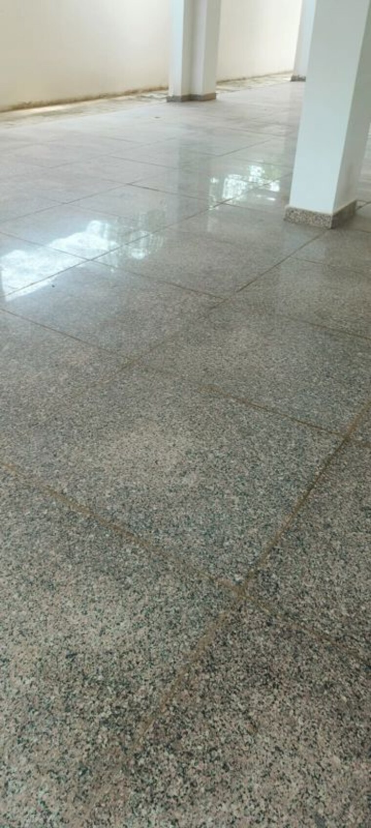 undefined, vasant kunj 4 Bedroom 3600 Sq.Ft. Builder Floor In Vasant Kunj Delhi 10382386