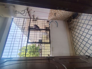 Balcony in 2 BHK Builder Floor at Malviya Nagar – for Rent