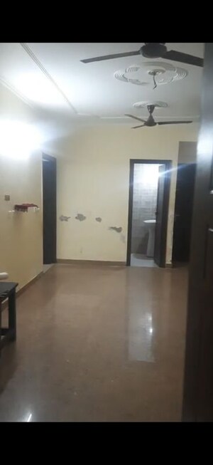 1 BHK Apartment For Rent in Chaitanya Vihar