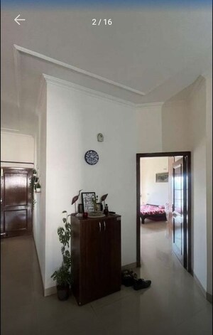 Living Room in 3 BHK Builder Floor at Sector 42 – for Rent
