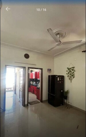 Room in 3 BHK Builder Floor at Sector 42 – for Rent