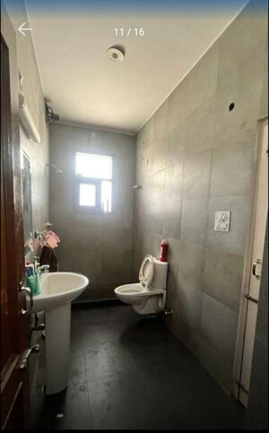 Bathroom in 3 BHK Builder Floor at Sector 42 – for Rent