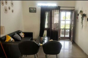 Living Room in 3 BHK Builder Floor at Sector 42 – for Rent