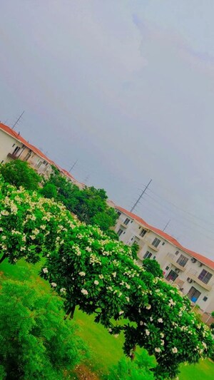 Studio Apartment – Exterior View View at Paramount Golf Forest Studio Apartments - OAK Towe, Zeta I Greater Noida - for Sale
