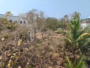 Plot Area in 2 BHK Independent House at Horamavu – for Rent