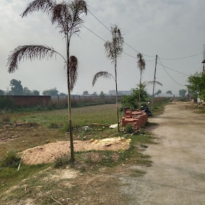 Plot Area in  Plot at Sai Valley, Rohania – for Sale