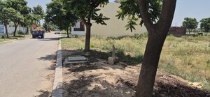 Plot Area in  Plot at Mullanpur – for Sale