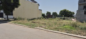  Plot For Sale in Mullanpur