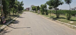 Plot Area in  Plot at Mullanpur – for Sale