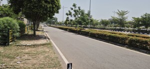 Plot Area in  Plot at Mullanpur – for Sale
