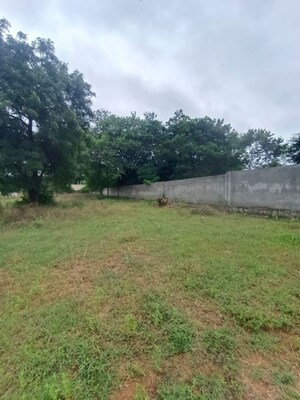 Plot Area in  Land at Moinabad – for Sale
