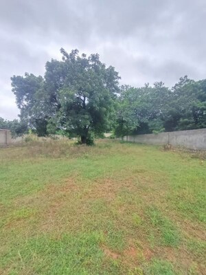  Land For Sale in Moinabad