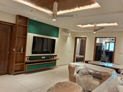 4 BHK + Pooja Room Builder Floor For Rent in Sector 12 Panchkula