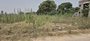 Plot Area in  Plot at Mullanpur – for Sale