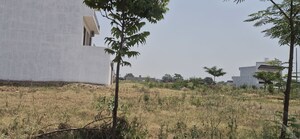 Plot Area in  Plot at Mullanpur – for Sale